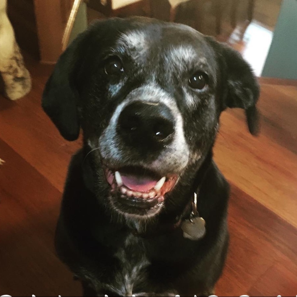 Meet your Posher, Kristi